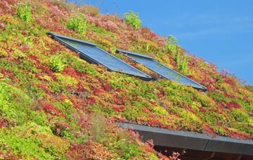 Wharram Percy living roof systems